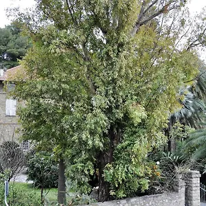 Appartamento La Gardenia Vacanze Al Mare, Diano Marina